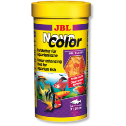 JBL Novo Color