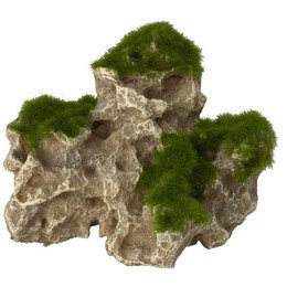 Moss Rock