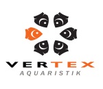 Vertex