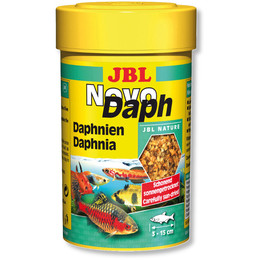 JBL Novo Daph