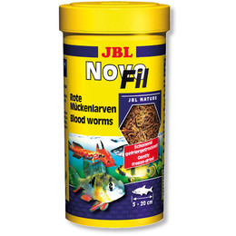 JBL Novo Fil