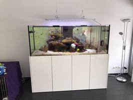 referenzfotos-salz-190x70x75-19.jpg